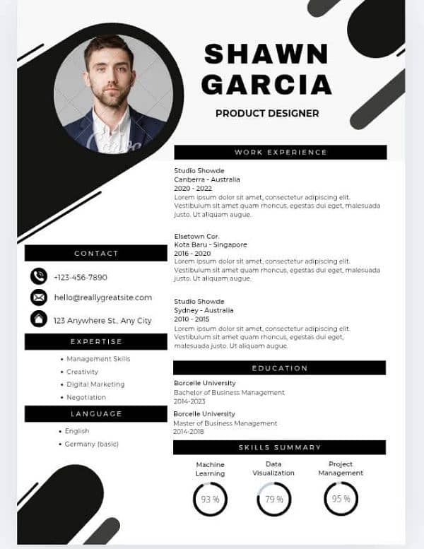 professional CV maker online 2