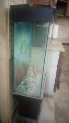 Fish aquariums