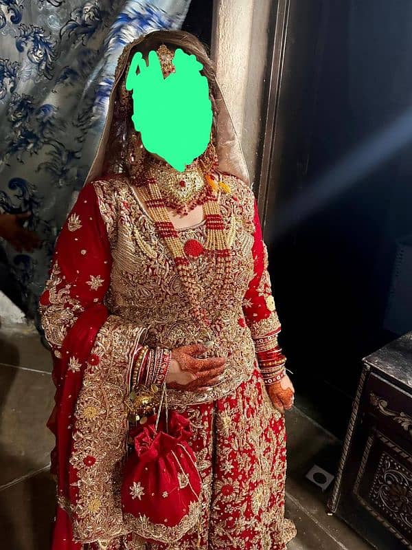 parrot lehnga 1