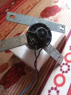 12v fan