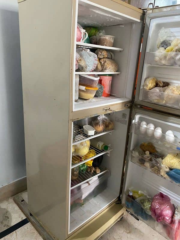 PEL Refrigerator for Sell 3