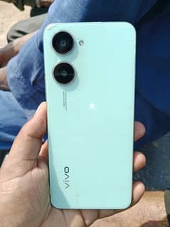 vivo