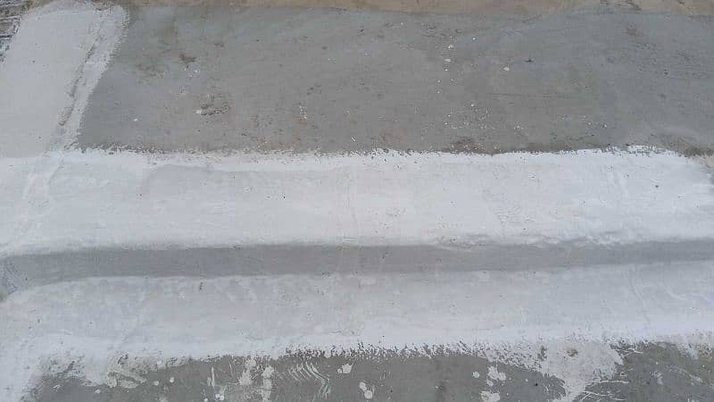 Advanced Roof Waterproofing Techniques for Heavy Rainfall Areas 3