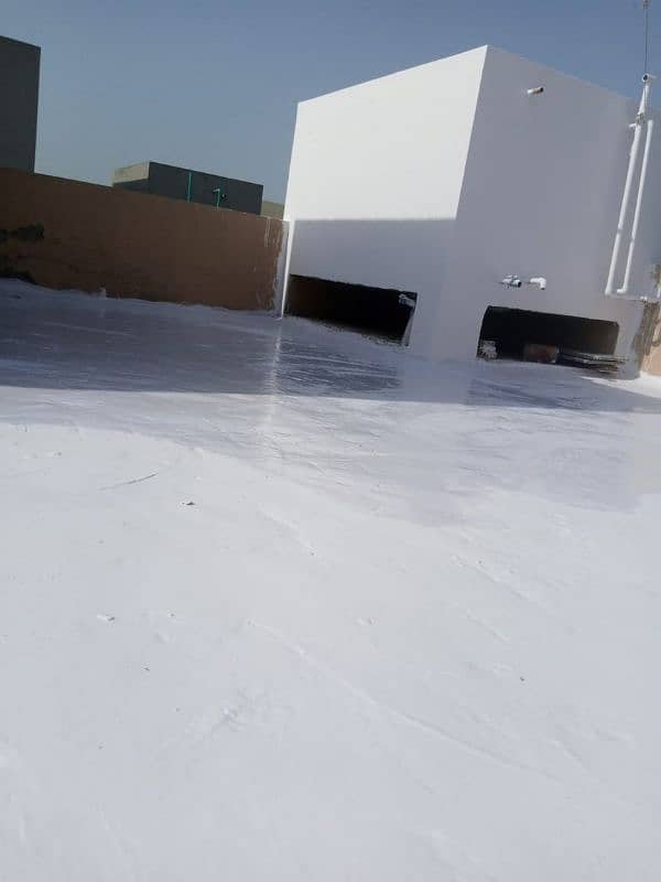 Advanced Roof Waterproofing Techniques for Heavy Rainfall Areas 19