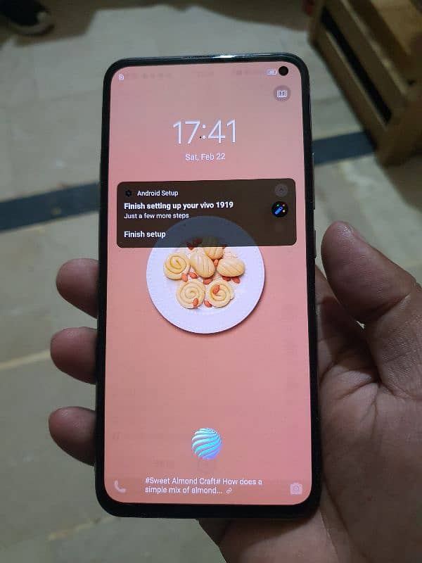 vivo v17 8/256 6