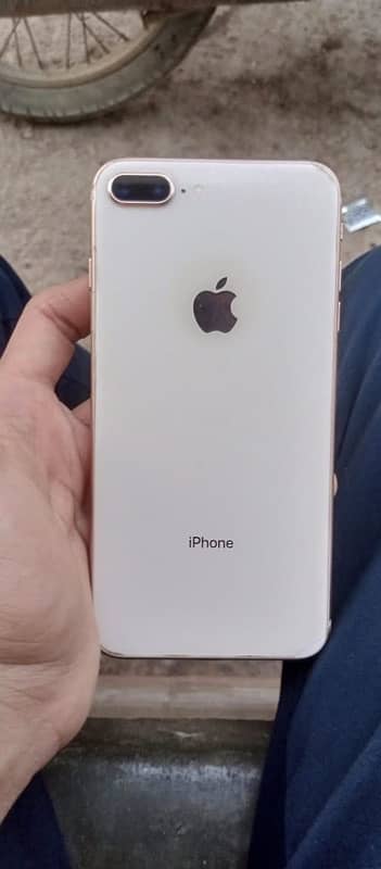 I phone 8 + pta 256 all okay …. . 2