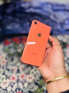 iPhone XR non pta waterpack