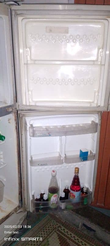 PEL fridge medium size 2