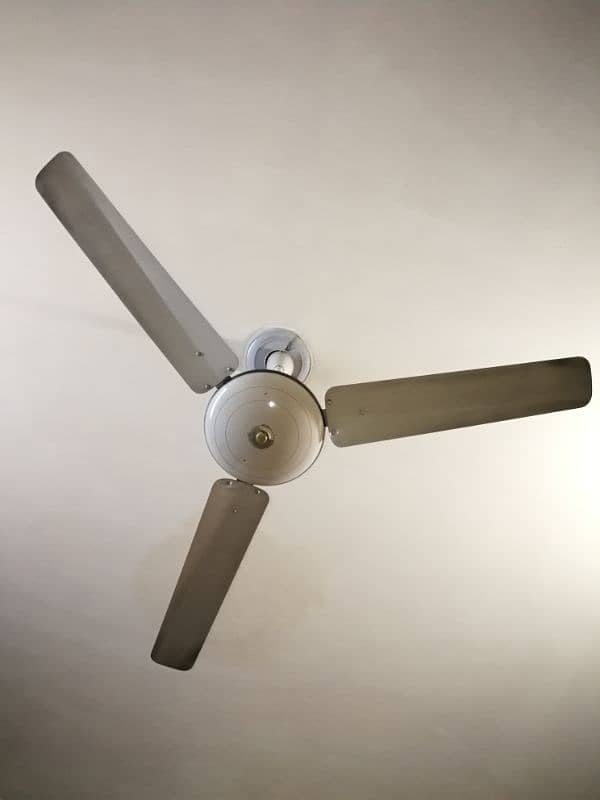 ceilling fan 2