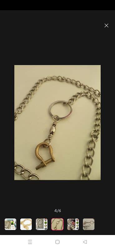 parrot foot ring and chain 1