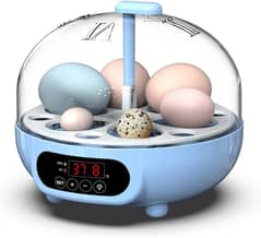 All Types of Imported iNcubators Available 6 eggs - 528 eggs