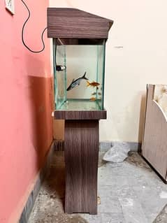 aquariam for sale