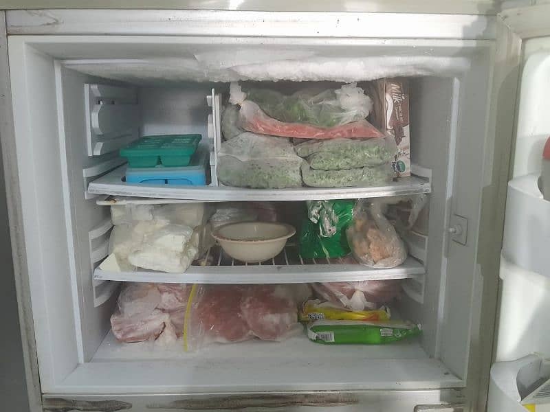 PEL FRIDGE FOR SALE 3