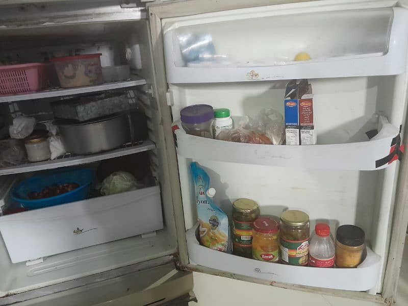 PEL FRIDGE FOR SALE 4