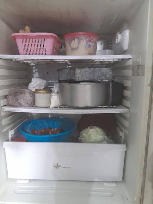 PEL FRIDGE FOR SALE 6