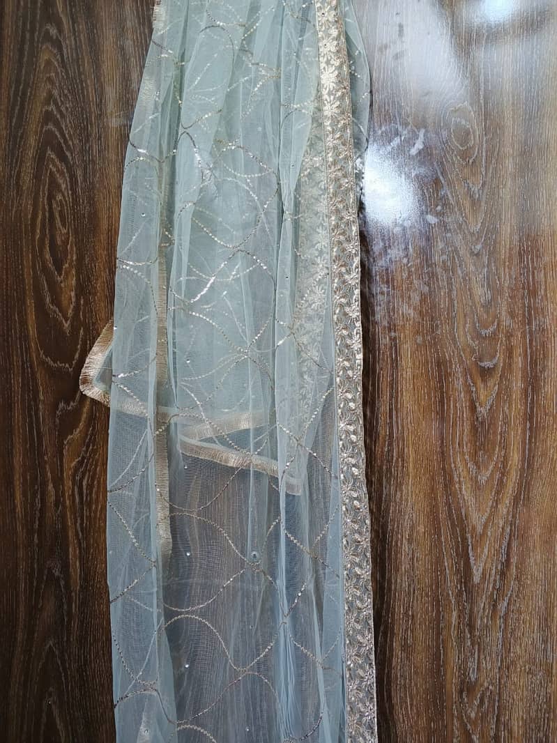 Silk gharara with net sequins 4