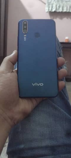 vivo