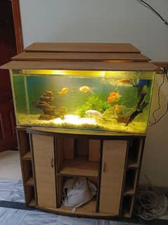 Fish Aquarium with all accessories and fish