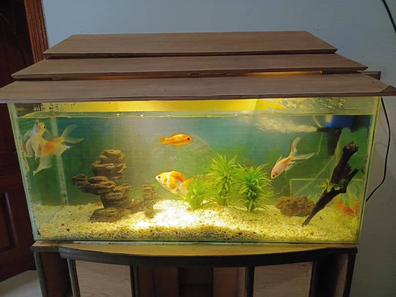 Fish Aquarium with all accessories and fish 1