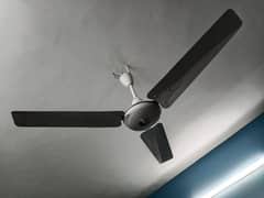 ceiling fans