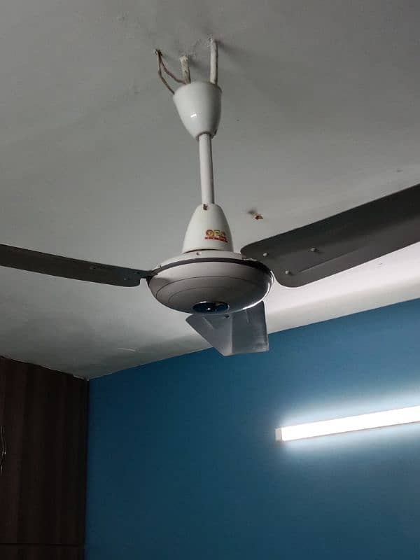 ceiling fans 1