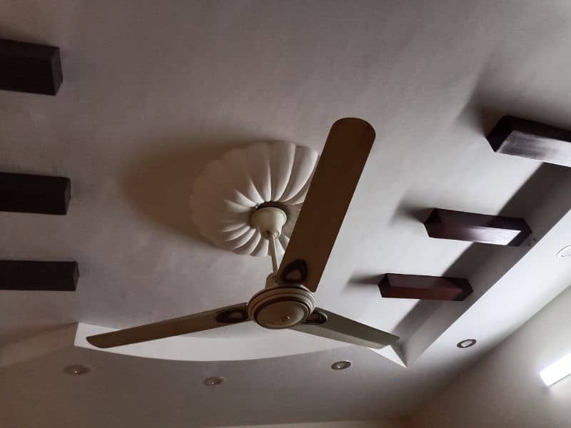 ceiling fans 2