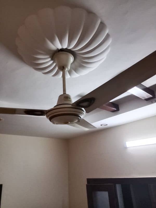 ceiling fans 3