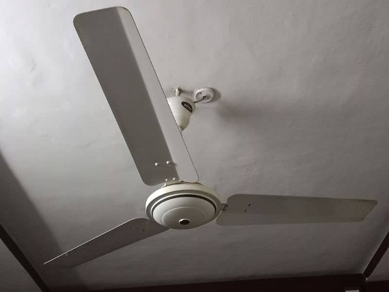 ceiling fans 4