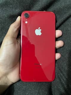 iPhone XR PTA approved