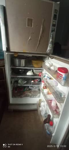 Fridge