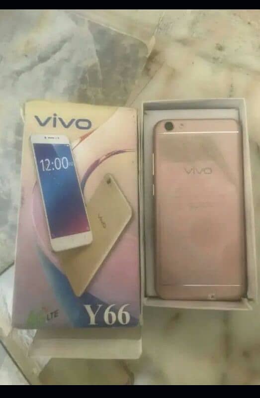 vivo y66 PTA approve 1