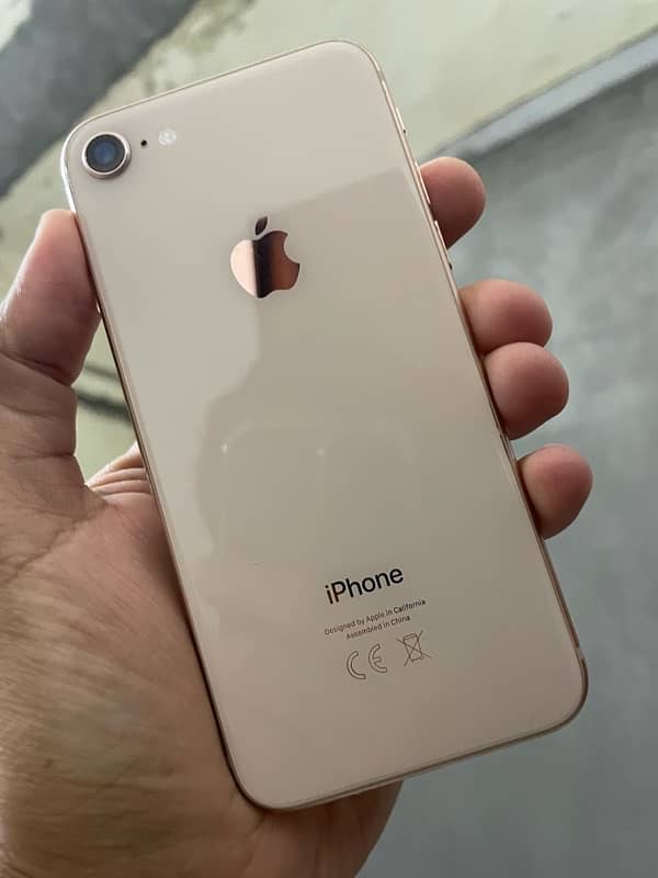 iPhone 8 Pta Approved 64 Gb 1