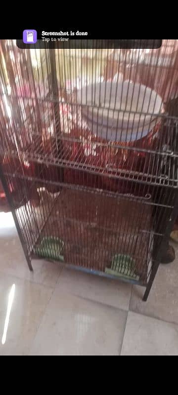 Heavy Iron 2 Portions Cage 1