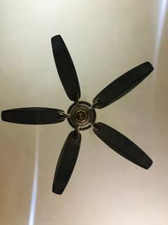 AC DC CEILING FANS 5 WINGS FANS MOBILE NUMBER: 03138626433