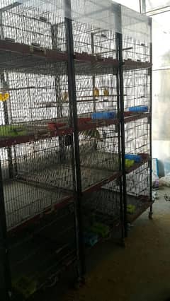 Birds Galvanized Cages and hens for sale.