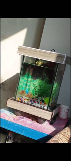 Portable aquarium for sale with 2 fish