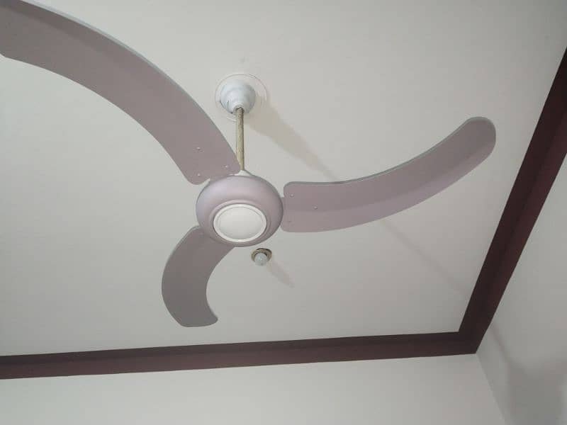 fans pure Cooper winding good condition location Gujrat 5