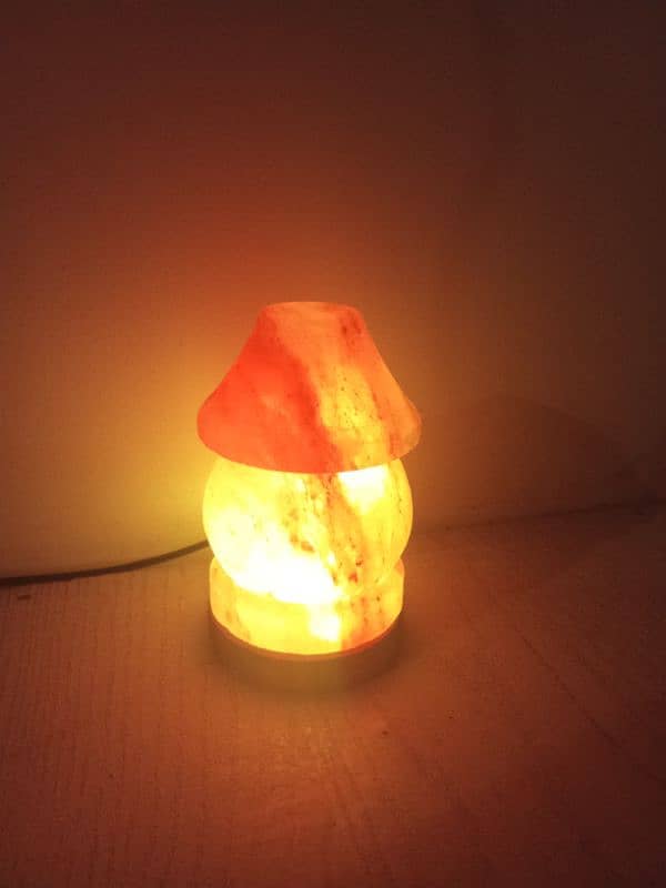 pink salt lamp 1