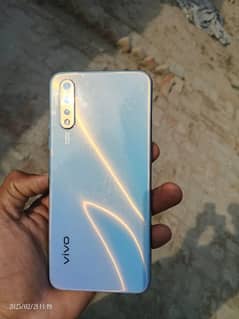 vivo