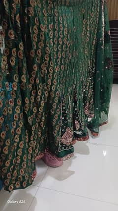 Green Embroidered Saree Medium Size