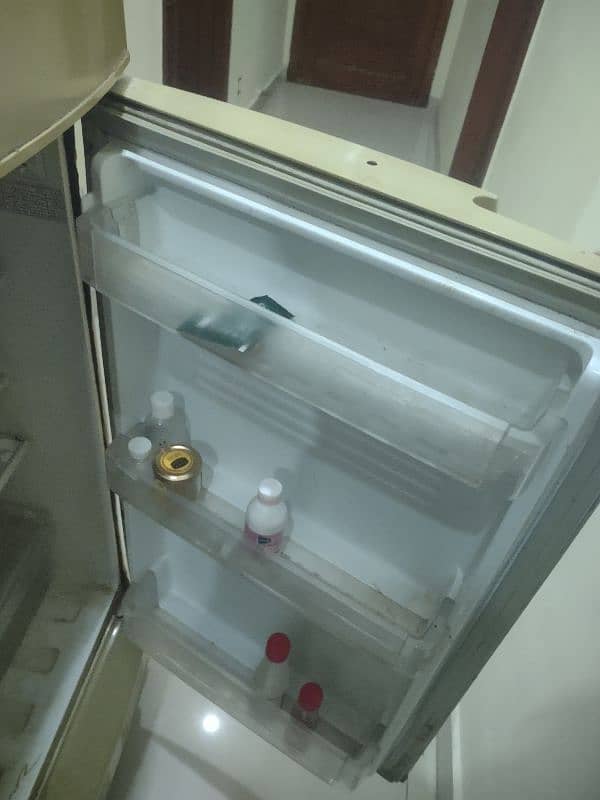 PEL Refrigerator 4