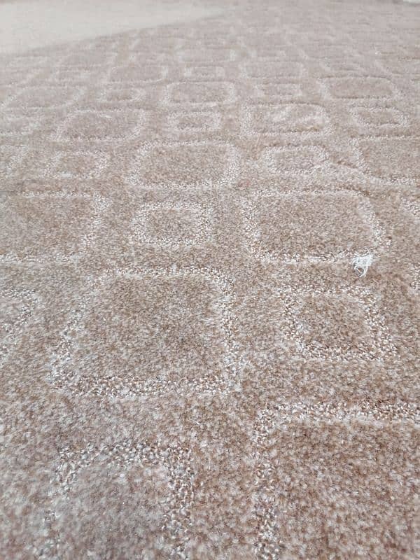 room carpet 2