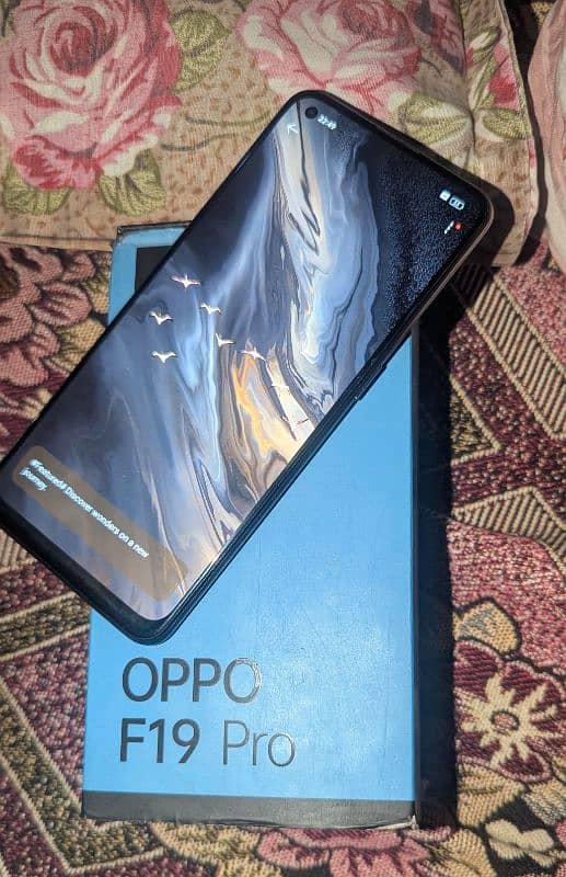 F 19 pro for sale 10 by 10 condition koi masla nhi h 4