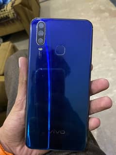 vivo