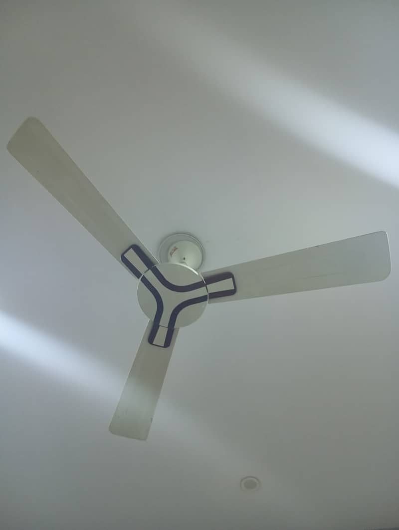 GFC Ceiling Fans (Price:4200 Each) 0