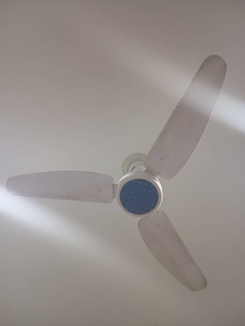 GFC Ceiling Fans (Price:4200 Each) 1