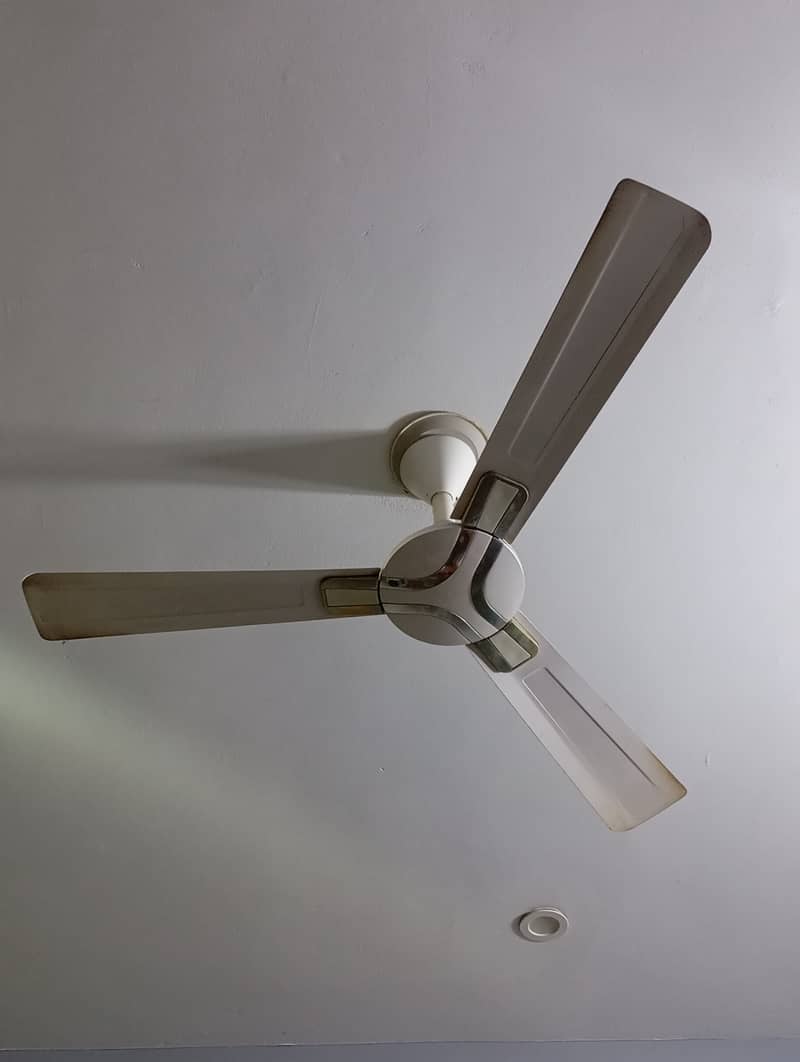 GFC Ceiling Fans (Price:4200 Each) 2