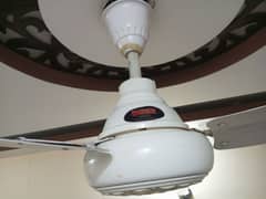 ceiling fan