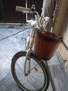 alvas imported bicycle for sale