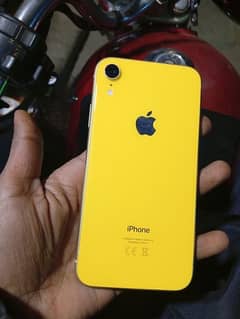 iPhone xr 10.9